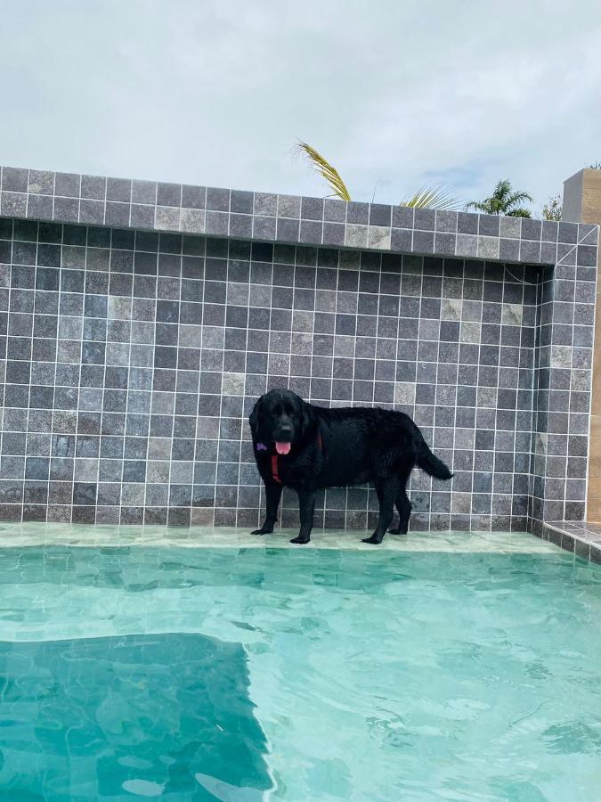 فيلا Casinhas Tero - Chale 01 Com Piscina ساو سيباستياو المظهر الخارجي الصورة